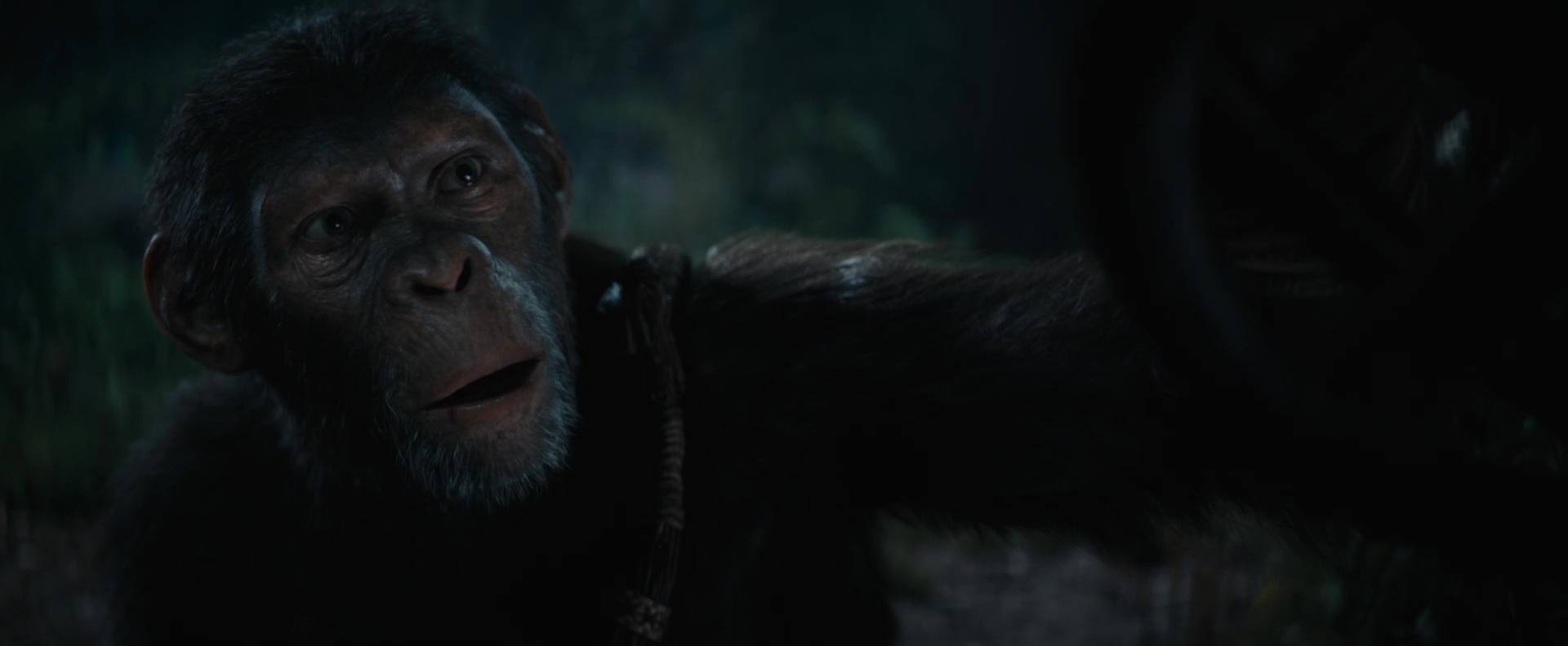 La planète des singes : le nouveau royaume - Photos et affiches. 25 image kingdom planet apes planete singes nouveau royaume
