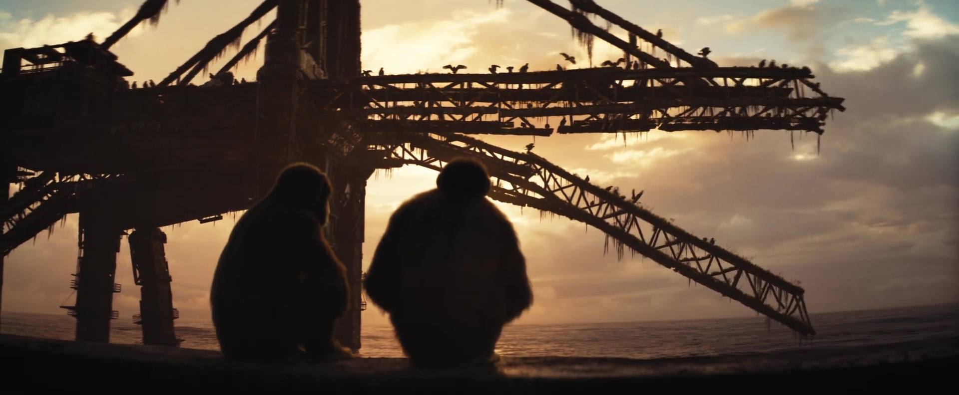 La planète des singes : le nouveau royaume - Photos et affiches. 30 image kingdom planet apes planete singes nouveau royaume