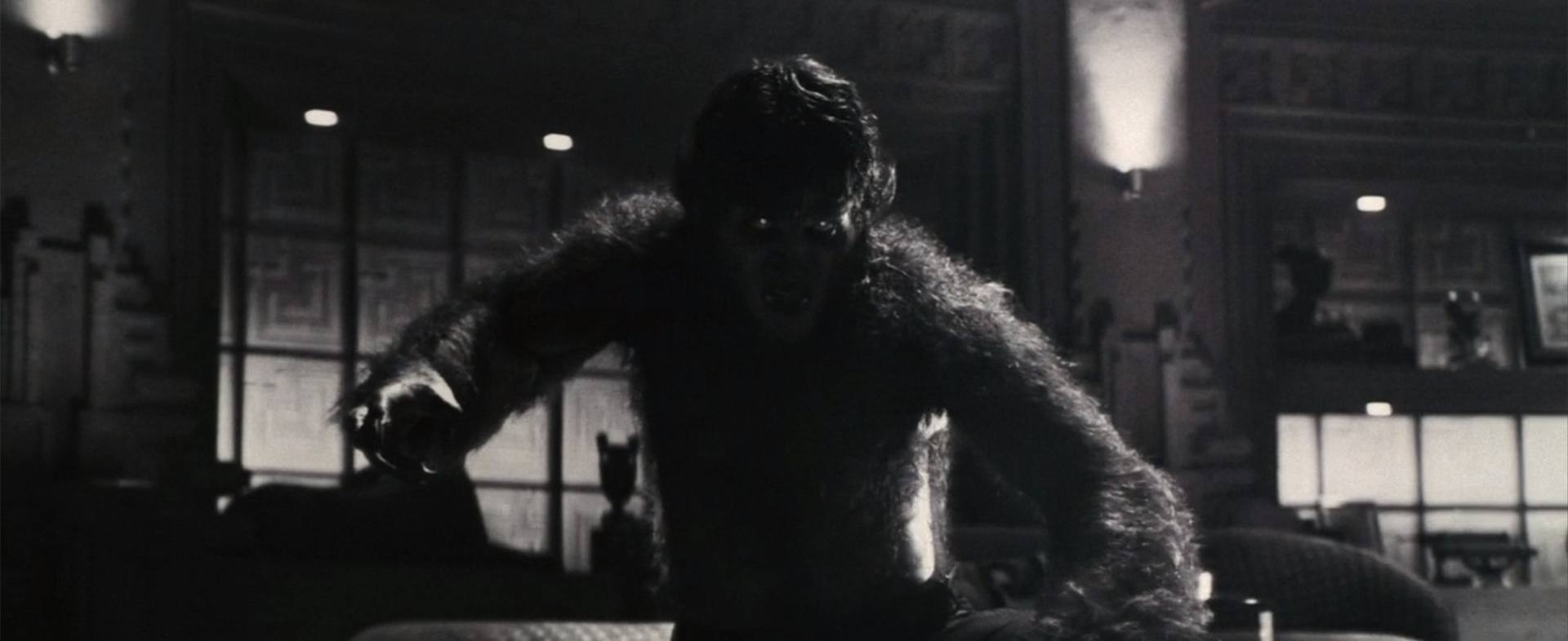 image werewolf by night marvel