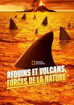 Requins et volcans, forces de la nature.