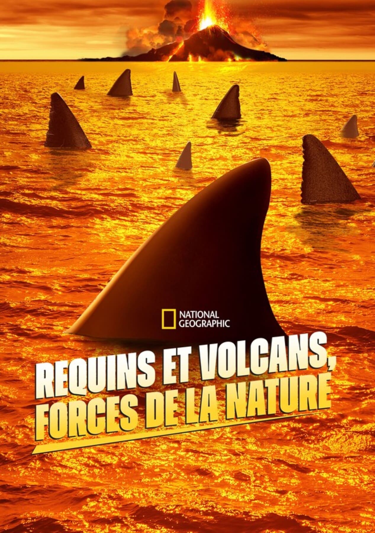 affiche poster requins volcans forces nature sharknaco