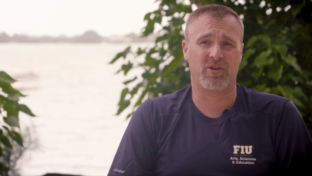 image requins volcans forces nature sharknaco