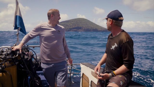 image requins volcans forces nature sharknaco