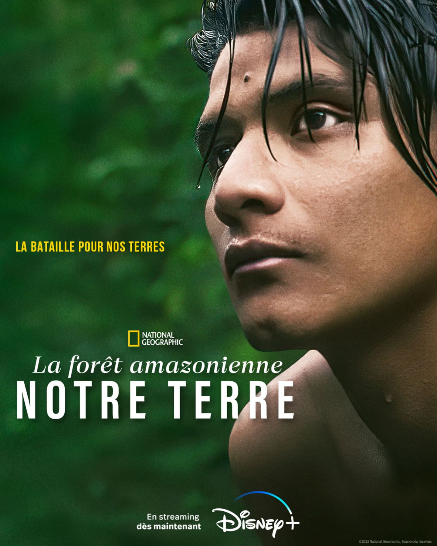 affiche poster forêt amazonienne notre terre territory