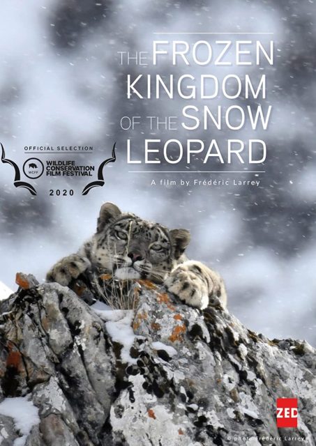 affiche poster royaume leopard neige kingdom frozen snow