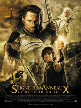 Le seigneur des anneaux : le retour du roi. 23 Le seigneur des anneaux : le retour du roi.