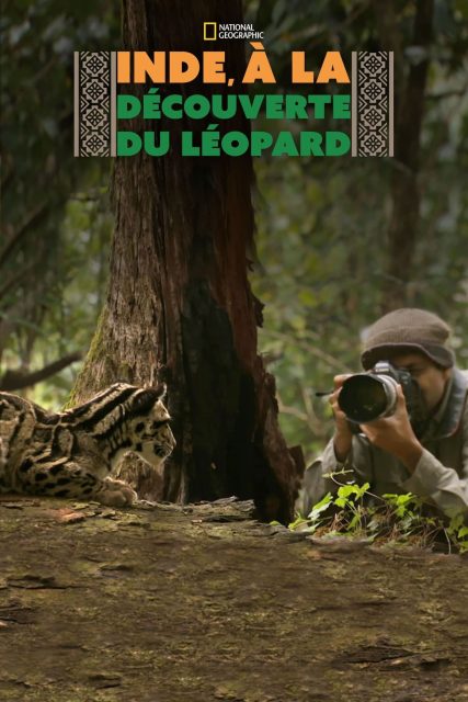 Inde, à la découverte du léopard - Streaming. 1 affiche poster inde découverte léopard wild india