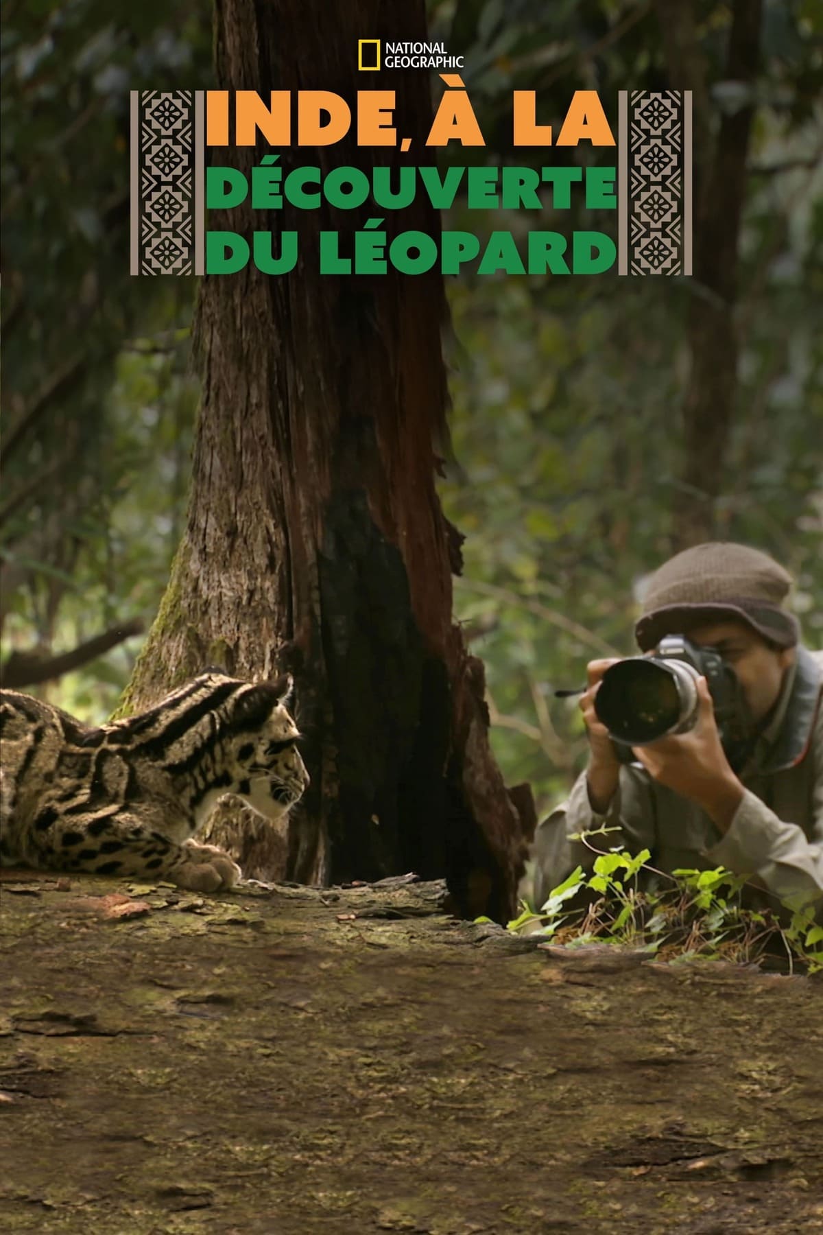 affiche poster inde découverte léopard wild india