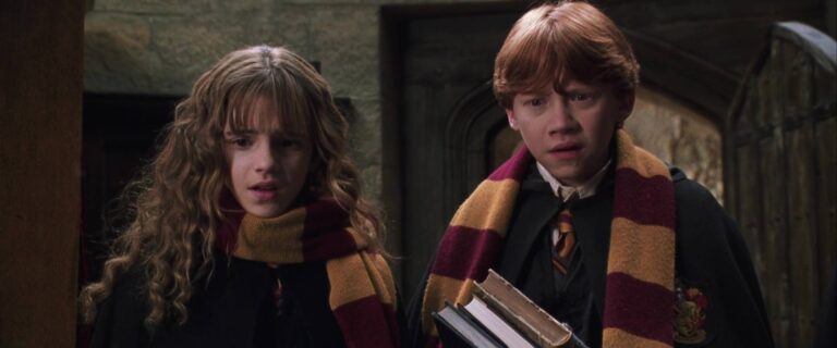 Harry Potter et la chambre des secrets. • Critique • CinéFilms-Planet