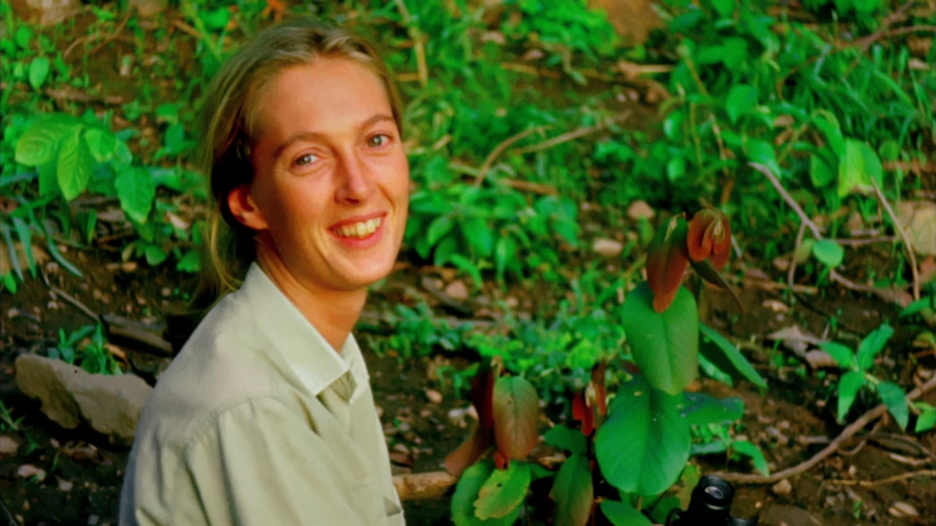 image jane