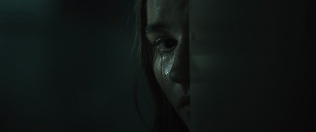 image traquee no one will save you