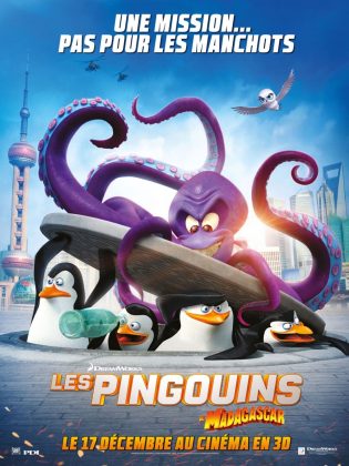 Les pingouins de Madagascar.