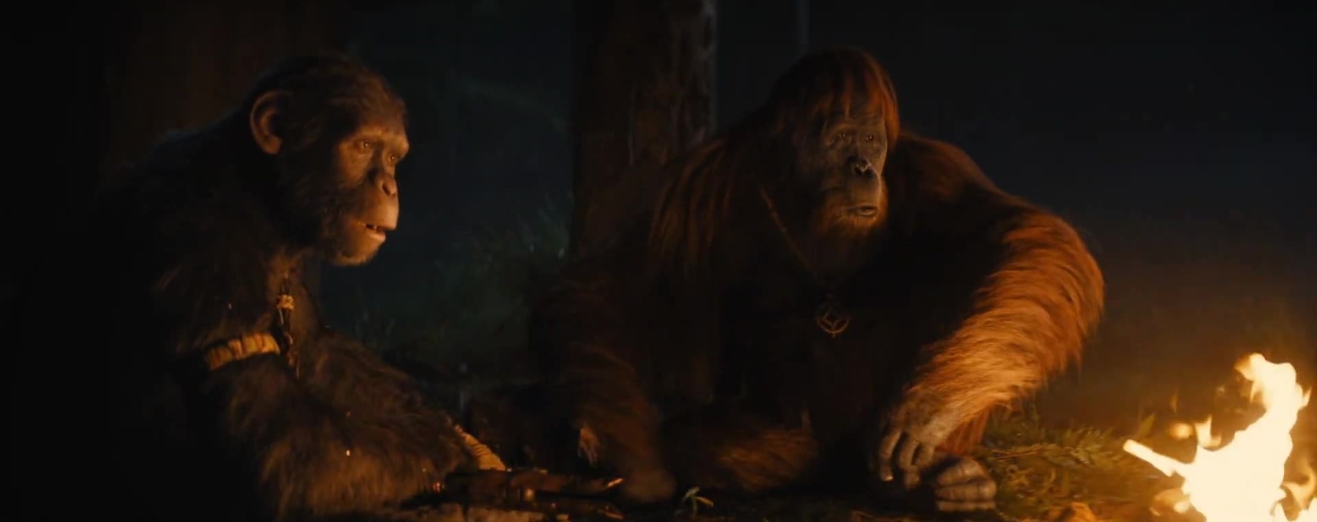 La planète des singes : le nouveau royaume - Photos et affiches. 20 image kingdom planet apes planete singes nouveau royaume