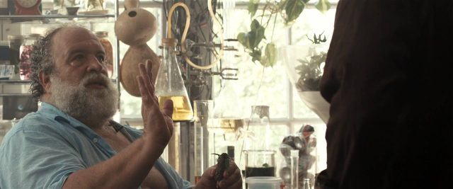 image effet papillon 3 butterfly effect revelations