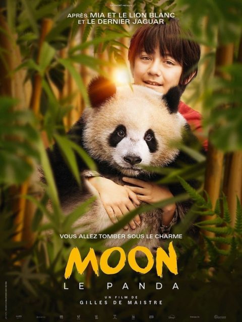 Affiche Poster de Moon le Panda avec Alexandra Lamy 2025