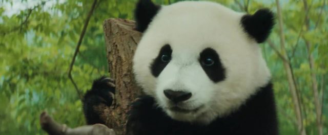 Alexandra Lamy dans Moon le Panda 2025