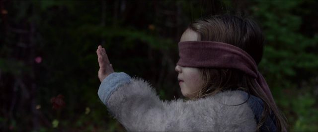 Sandra Bullock dans Bird Box 2018