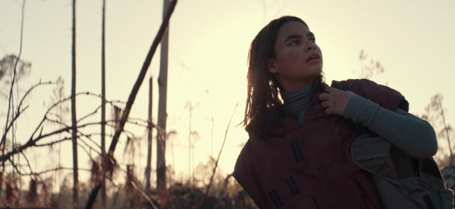 65 : la Terre d’avant - Photos et affiches. 11 Adam Driver dans 65 : la Terre d'avant 2023