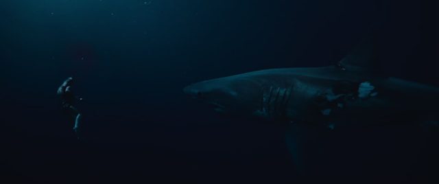 Scène de Dangerous animals 2025