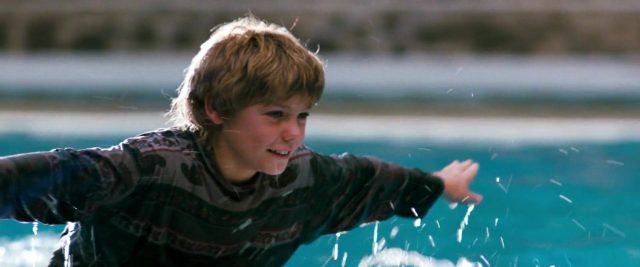 Scène dans Sauvez Willy Free 1993