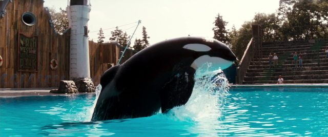 Scène dans Sauvez Willy Free 1993