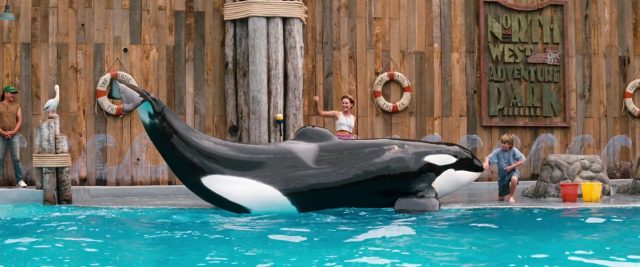 Scène dans Sauvez Willy Free 1993