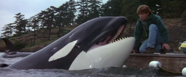 Sauvez Willy 2 - Photos et affiches. 4 Scène dans Sauvez Willy 2 Free Adventure Home 1995