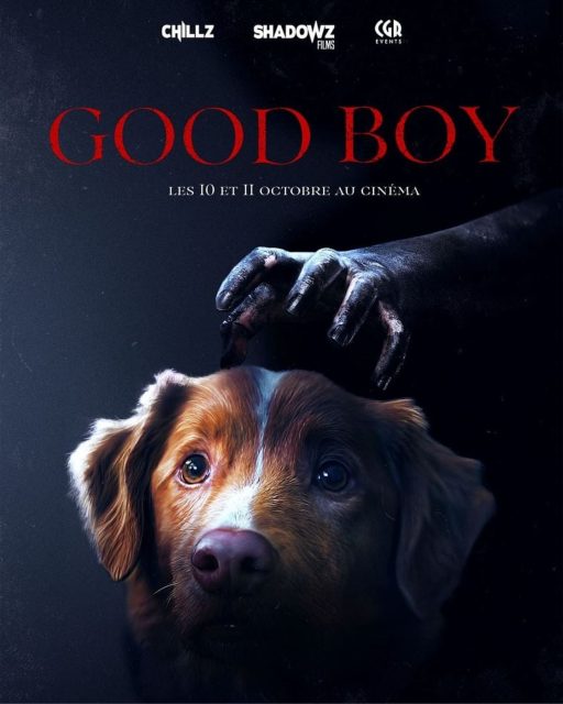 Affiche Poster de Good boy 2025