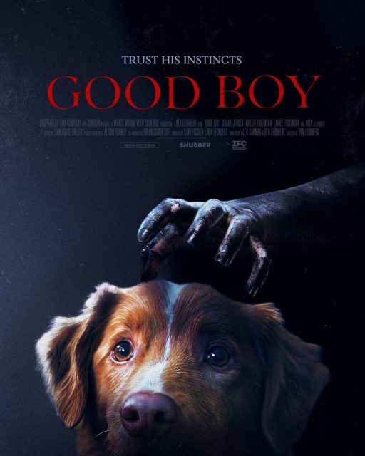 Good boy- Photos et affiches. 2 Affiche Poster de Good boy 2025