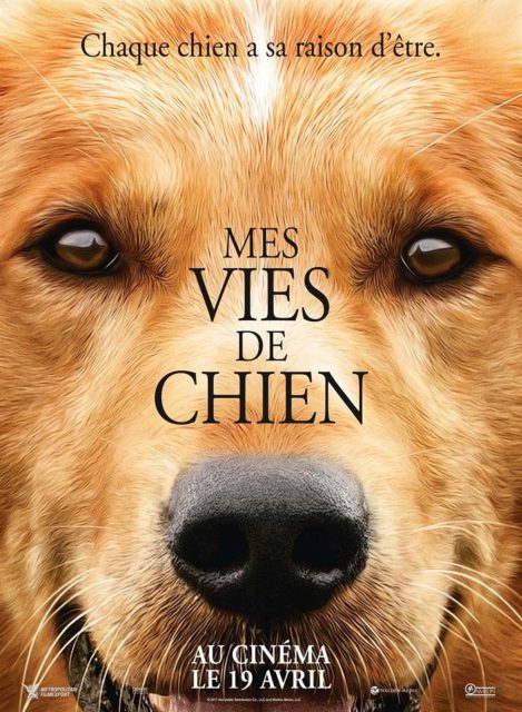 Mes vies de chien. 1 Affiche Poster de Mes vies de chien A dog's purpose avec Britt Robertson et Dennis Quaid 2017