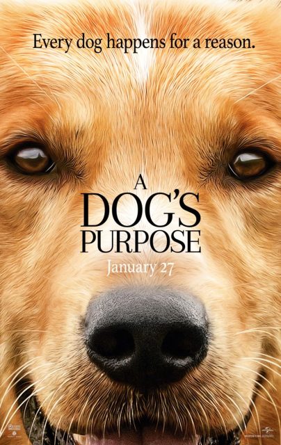 Mes vies de chien - Photos et affiches. 2 affiche vies chien 02