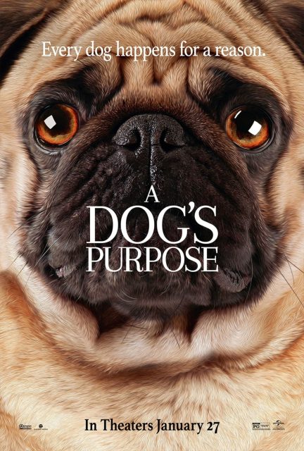 Mes vies de chien - Photos et affiches. 3 affiche vies chien 03