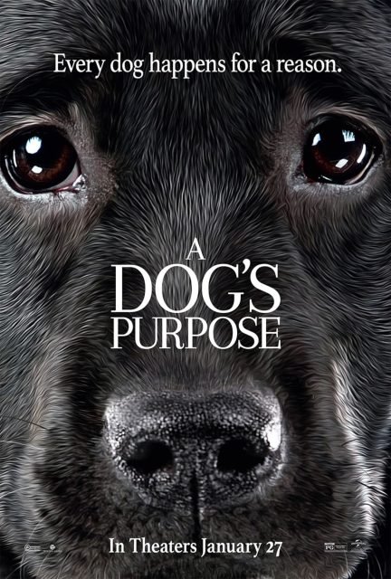 Mes vies de chien - Photos et affiches. 4 affiche vies chien 04