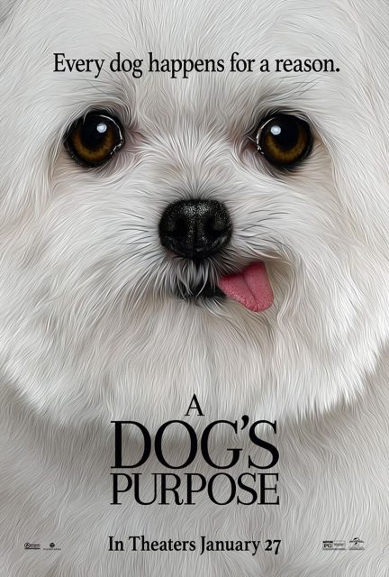 Mes vies de chien - Photos et affiches. 5 affiche vies chien 05