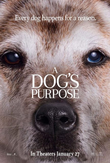 Mes vies de chien - Photos et affiches. 6 affiche vies chien 06