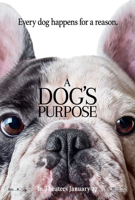 Mes vies de chien - Photos et affiches. 7 affiche vies chien 07