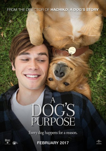 Mes vies de chien - Photos et affiches. 8 affiche vies chien 08