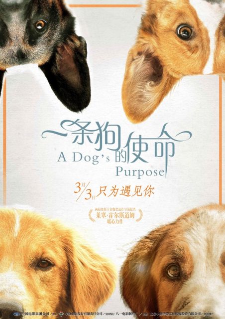 Mes vies de chien - Photos et affiches. 9 affiche vies chien 09