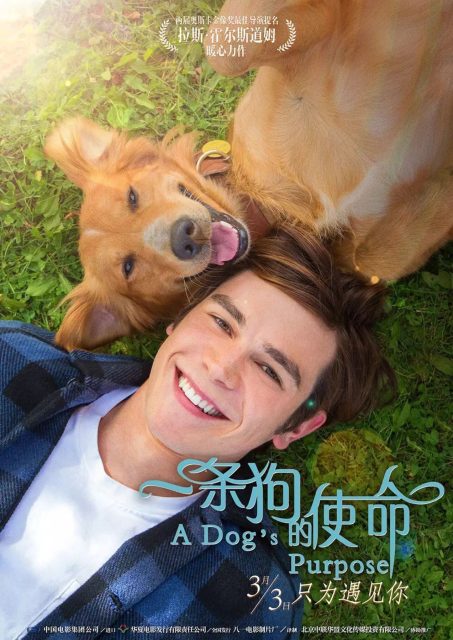 Mes vies de chien - Photos et affiches. 10 affiche vies chien 10