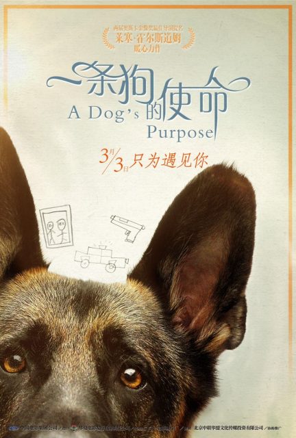 Mes vies de chien - Photos et affiches. 11 affiche vies chien 11