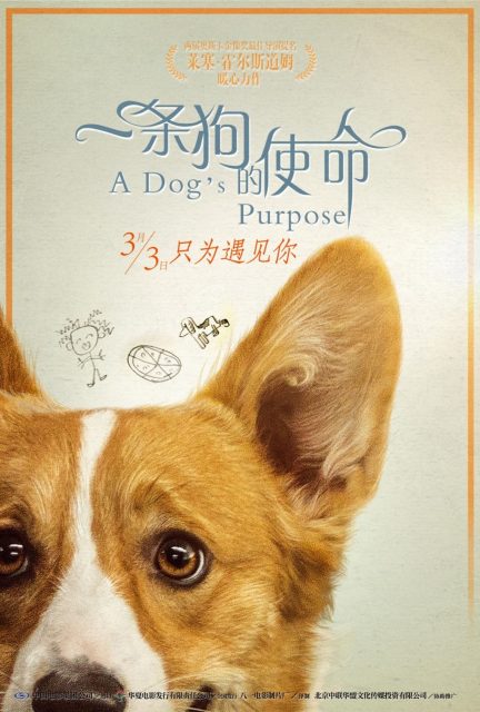 Mes vies de chien - Photos et affiches. 12 affiche vies chien 12