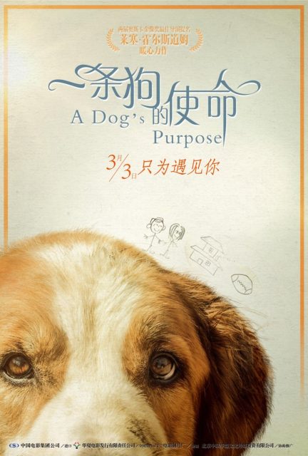 Mes vies de chien - Photos et affiches. 13 affiche vies chien 13