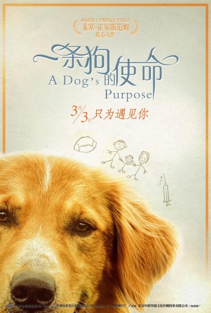 Mes vies de chien - Photos et affiches. 14 affiche vies chien 14