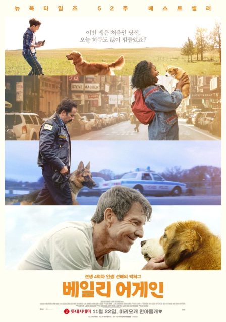 Mes vies de chien - Photos et affiches. 15 affiche vies chien 15