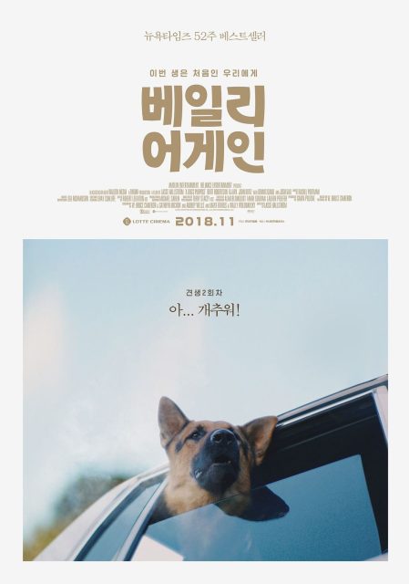 Mes vies de chien - Photos et affiches. 21 affiche vies chien 21