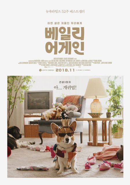 Mes vies de chien - Photos et affiches. 22 affiche vies chien 22