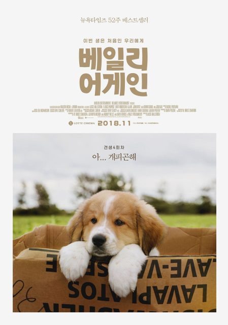 Mes vies de chien - Photos et affiches. 23 affiche vies chien 23