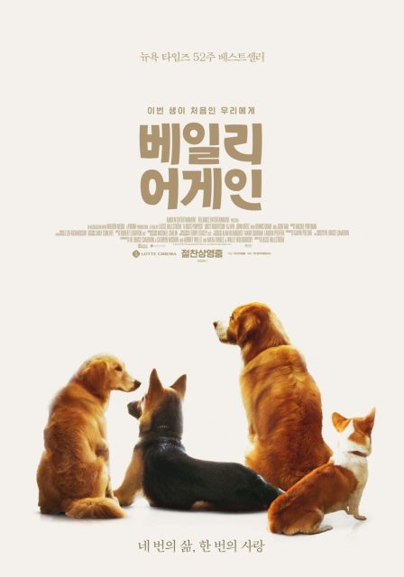 Mes vies de chien - Photos et affiches. 25 affiche vies chien 25