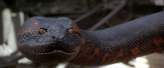 Anaconda, le prédateur. 4 Jennifer Lopez et Jon Voight dans Anaconda, le prédateur 1997