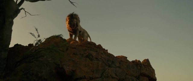 Beast - Photos et affiches. 13 Idris Elba dans Beast 2022